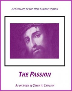 the_passion_book__12277.1423532171.386.513